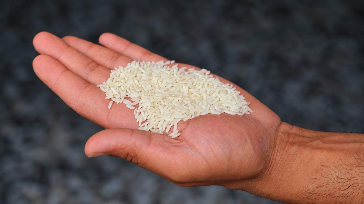 برنج طارم ازدونه