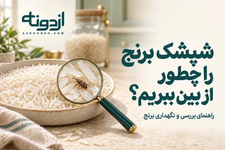 تصویر آموزشی شپشک برنج زیر ذره‌بین؛ راهنمای بررسی آفت و نگهداری برنج