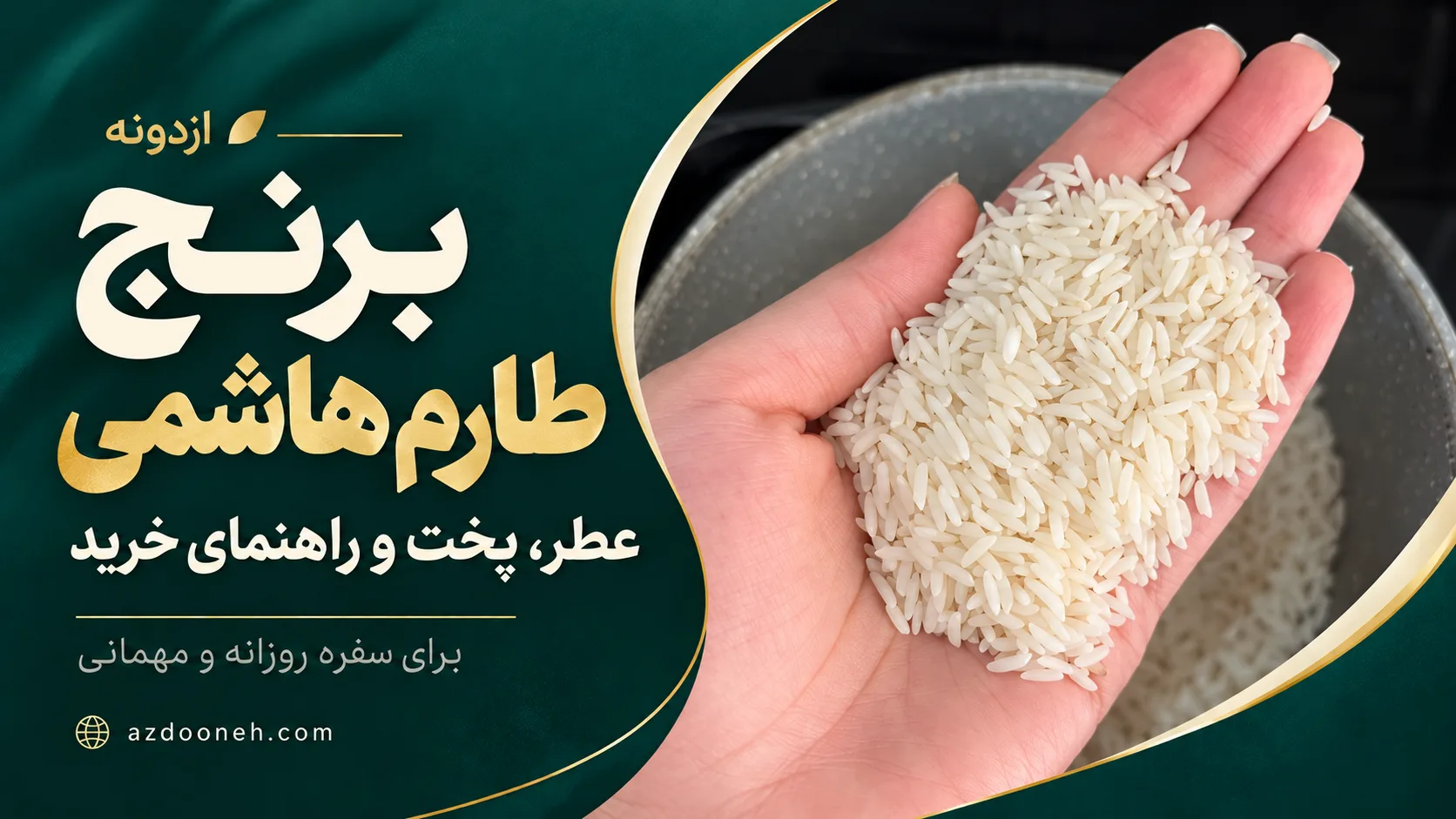 نمونه برنج طارم هاشمی در کف دست؛ کاور راهنمای عطر، پخت و خرید ازدونه